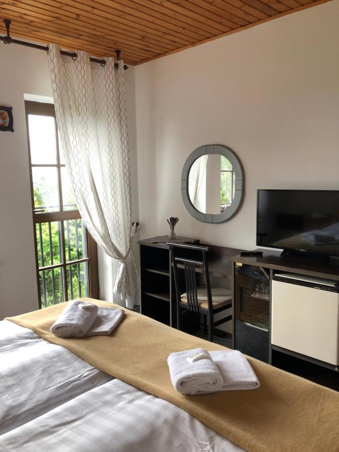 Sporthotel Rudolf Boží Dar Exteriör bild