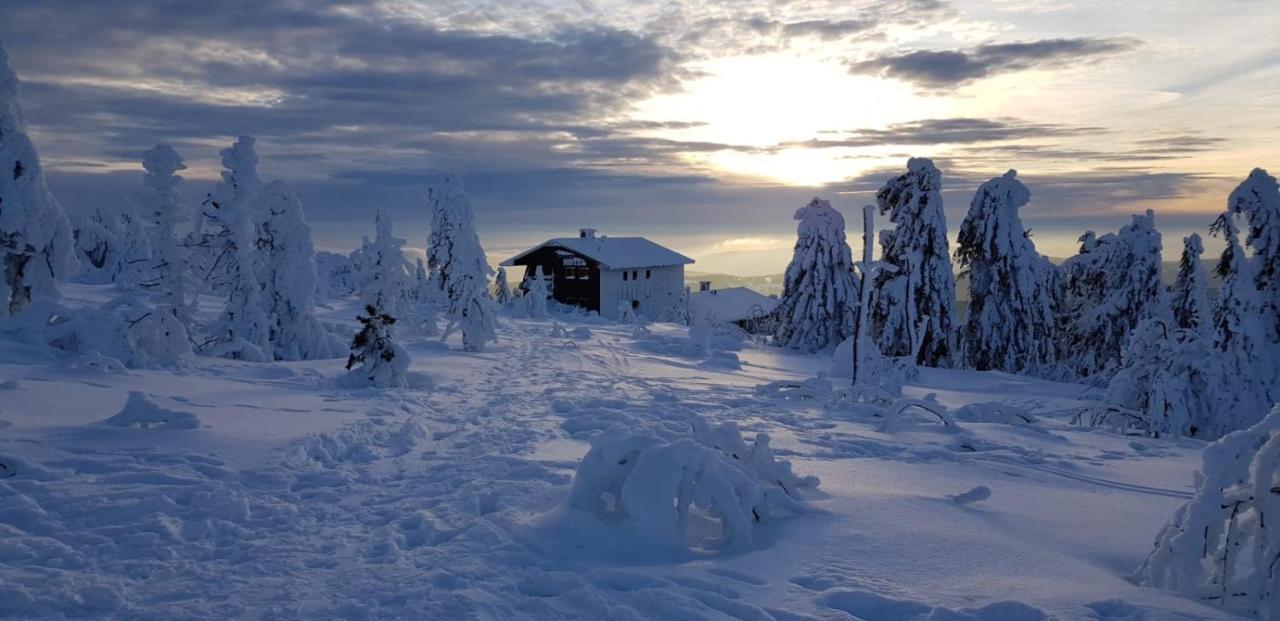 Sporthotel Rudolf Boží Dar Exteriör bild